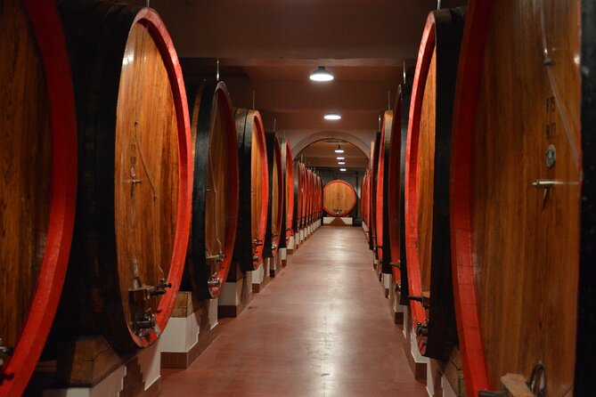Pagus Wine Tours® - Soave and Amarone - Half day wine tour - The Valpolicella/Amarone-area second winery: tasting time that sticks