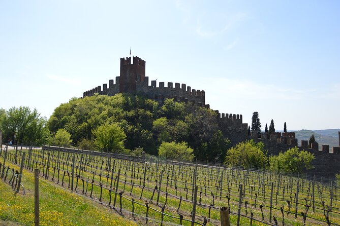 Pagus Wine Tours® - Soave and Amarone - Half day wine tour - Practical tips so the cellar temperature and stairs don’t catch you off guard