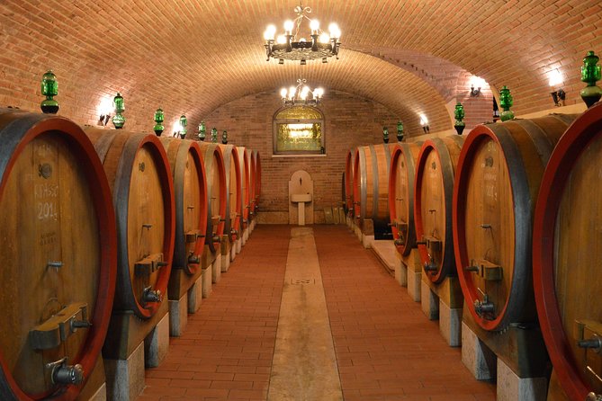 Pagus Wine Tours® - Two Amarone wineries - Half day wine tour - Stop 1 at Pagus Wine Tours’ region: orientation plus cellar-price reality