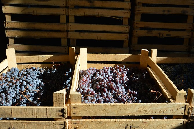Pagus Wine Tours® - Two Amarone wineries - Half day wine tour - Stop 2: personable hosts, and why the comparison still works