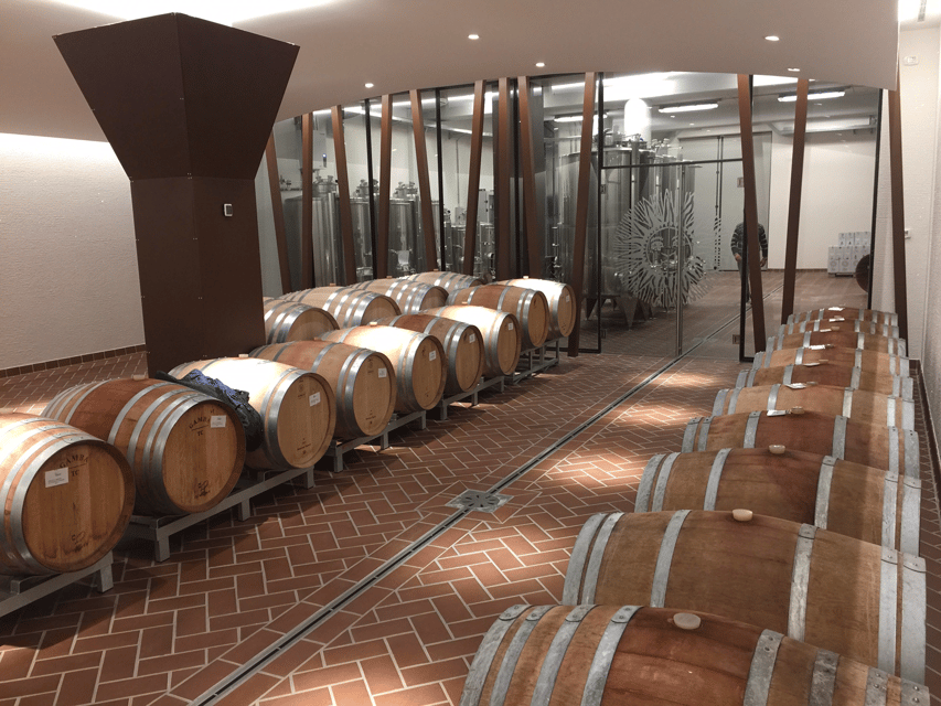 SIGHTSEEING TASTING IN THE PANORAMIC LOUNGE - What You Taste Beyond Wine: EVOO and Grappa