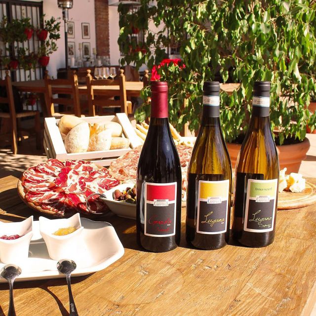 Sirmione: Vineyard Tour with Lugana Wines and Local Tastings - Cellar Visit: From Musts to Bottles (and Why Timing Matters)