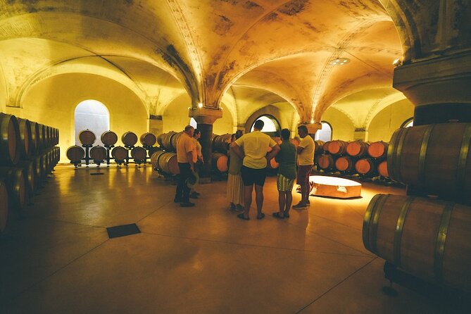 Small-group Amarone Wine e-Bike Tour from Verona - Quinto di Valpantena: vineyards, olive trees, and a sense of place