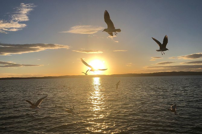 Sunset Tour in Sirmione - Looking for Boiola Bubbles: Small Nature Moment, Big Fun