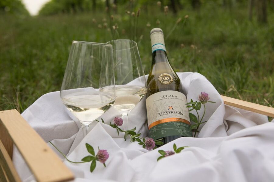 Taste with us Bardolino, Chiaretto and Lugana near Verona - Lake Garda Wine Tasting, Right by Verona’s Scene