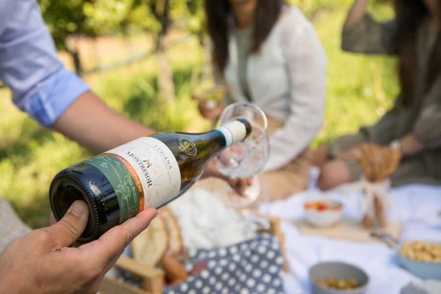 Taste with us Bardolino, Chiaretto and Lugana near Verona - Cantine Giacomo Montresor: Cellar Tour Plus a Wine Museum