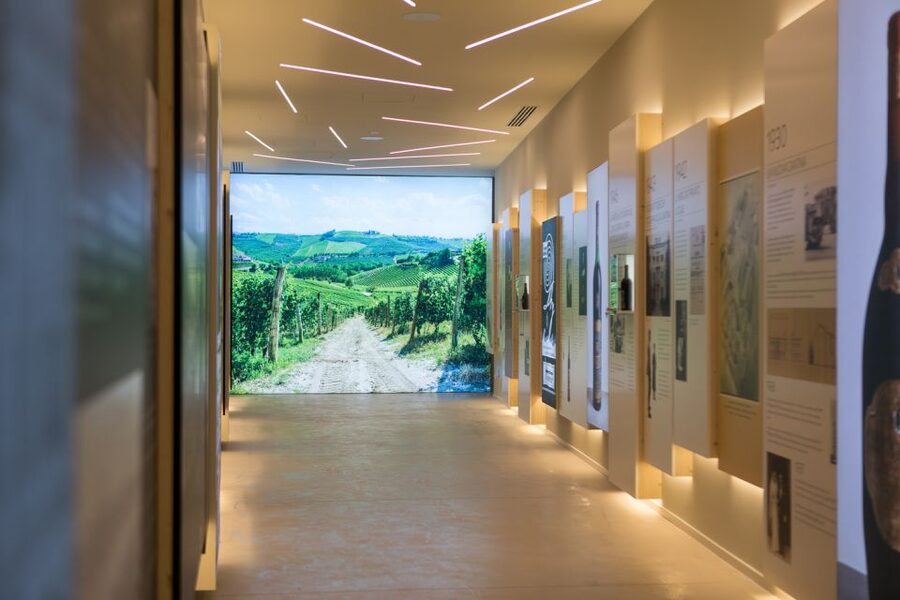Taste with us Bardolino, Chiaretto and Lugana near Verona - Price and Value: Is $35 a Smart Spend?