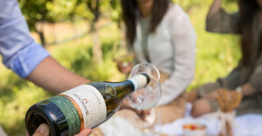 Taste with us Bardolino, Chiaretto and Lugana near Verona - What You Actually Taste: Lugana, Chiaretto, and Bardolino