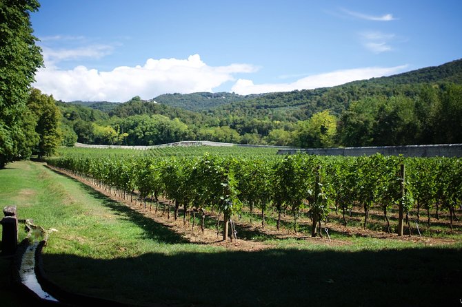 The Amarone Chateau guided tour and tasting in Valpolicella - Guided Tasting at Tenuta Santa Maria: How to Get More from the Pour