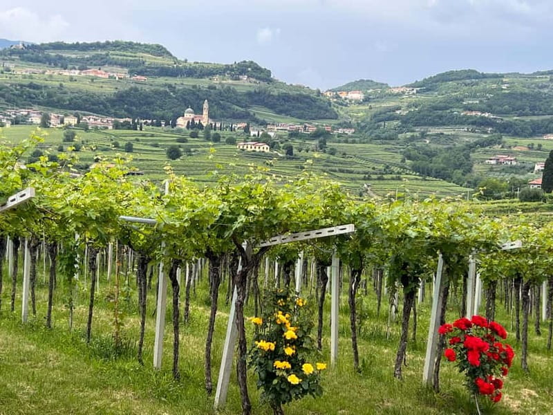 The grand tour of Amarone: 2 wineries with delicious lunch - A Few Small Details That Make the Day Easier