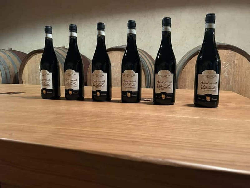 The grand tour of Amarone: 2 wineries with delicious lunch - Winery Stop 1: Guided Touring, Food Tastings, and Amarone-Focused Sampling