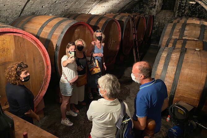 The Grand tour of Valpolicella: 2 Wineries, Lunch & Amarone focus - Key highlights you should care about