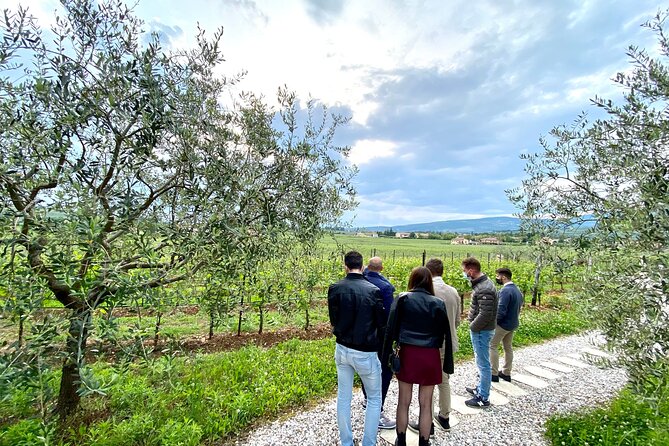The Grand tour of Valpolicella: 2 Wineries, Lunch & Amarone focus - Lunch in San Giorgio di Valpolicella: how the meal actually works