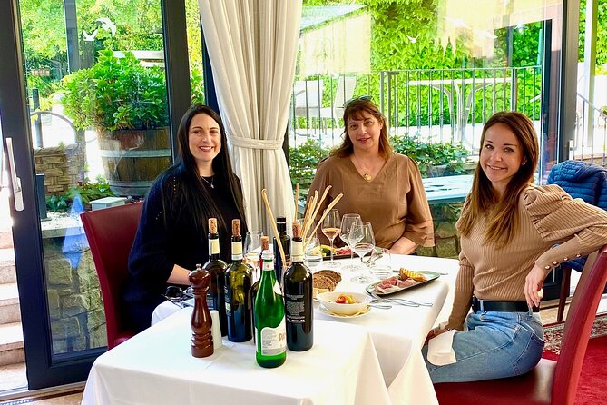 The Grand tour of Valpolicella: 2 Wineries, Lunch & Amarone focus - Transport, timing, and getting the most from the day