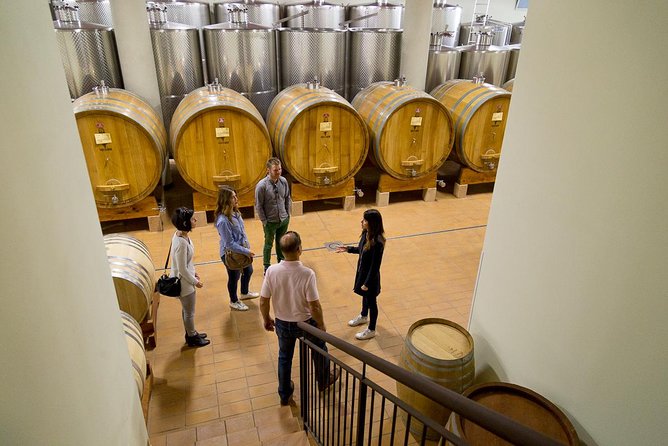 The Valpolicella food & wine driving tour: cheese factory+ winery - Price and Logistics: What $208.50 Really Buys You