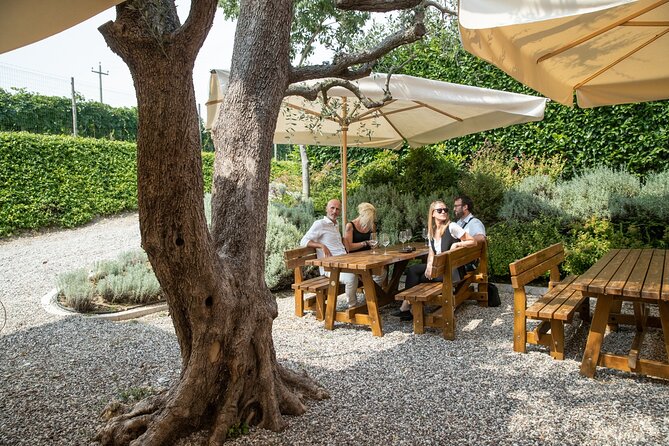 Tour and Tasting of Organic Wines in Lazise - Key highlights you should care about