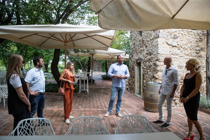 Tour and Tasting of Organic Wines in Lazise - Finding varietals to buy at home (without guessing)