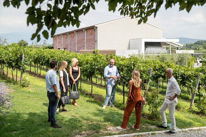 Tour and Tasting of Organic Wines in Lazise - Timing, pacing, and group size in 1 hour 30 minutes