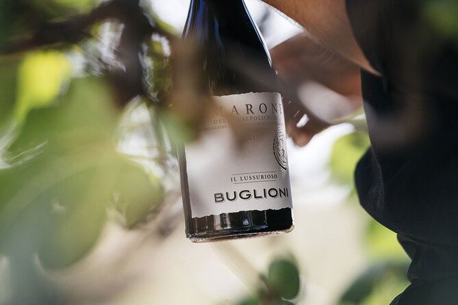 Valpolicella Lunch or Dinner Wine & Food tasting with Amarone - From Corrubbio vineyards to the cellar behind Amarone