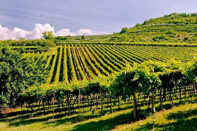 Valpolicella - The wine paradise - Highlights You’ll Actually Feel During the Day
