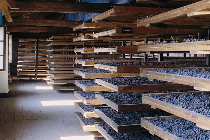 Valpolicella - The wine paradise - Valpolicella From Verona, Without the Headache