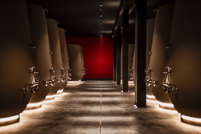 Verona area: Wine Tasting Experience in Valpolicella - The guide experience: why I care about how it’s taught
