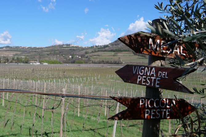 Verona - Cellar Tour and Tasting of NATURAL WINES - Natural Wine at Terre di Pietra: What You’re Really Signing Up For