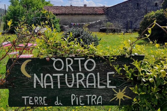 Verona - Cellar Tour and Tasting of NATURAL WINES - Back to the Tasting Room: Five Wines + Their Olive Oil