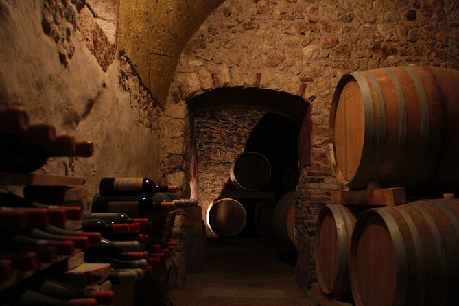 Verona - Cellar Tour and Tasting of NATURAL WINES - Why Natural Wine Works Best When You Get the Context