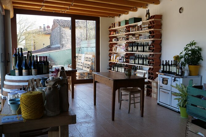 Verona - Cellar Tour and Tasting of NATURAL WINES - Verona Logistics: Where It Is and How to Plan Your Time