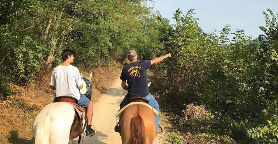 Verona: Horseback Riding and Wine Tasting Experience - Key things that make this Verona tour worth your time