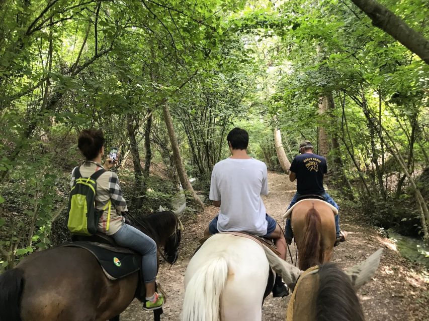 Verona: Horseback Riding and Wine Tasting Experience - Why This 4-Hour Verona Horseback + Wine Combo Works