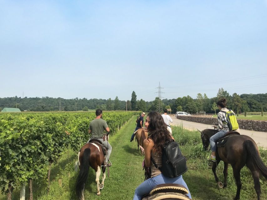 Verona: Horseback Riding and Wine Tasting Experience - The Ride Through Custoza Vineyards: Time in the Saddle and Hill Views