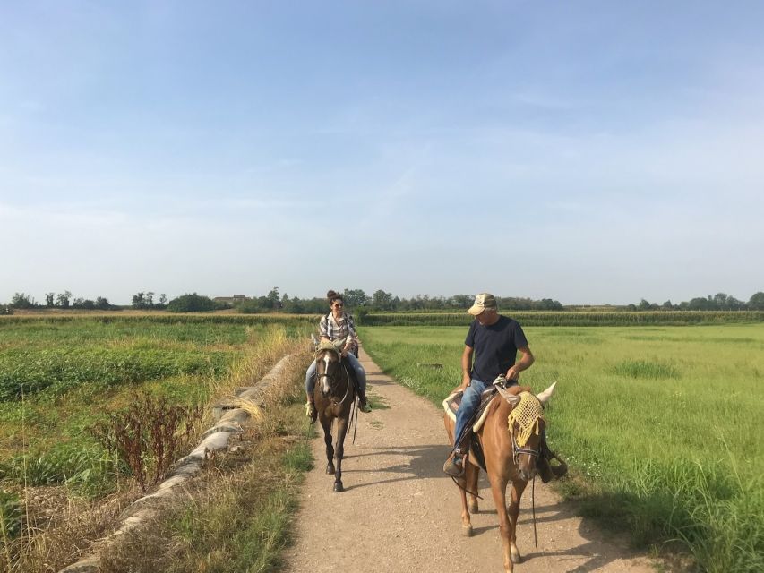 Verona: Horseback Riding and Wine Tasting Experience - The Family-Run Winery Stop and Walking Into the Cellar