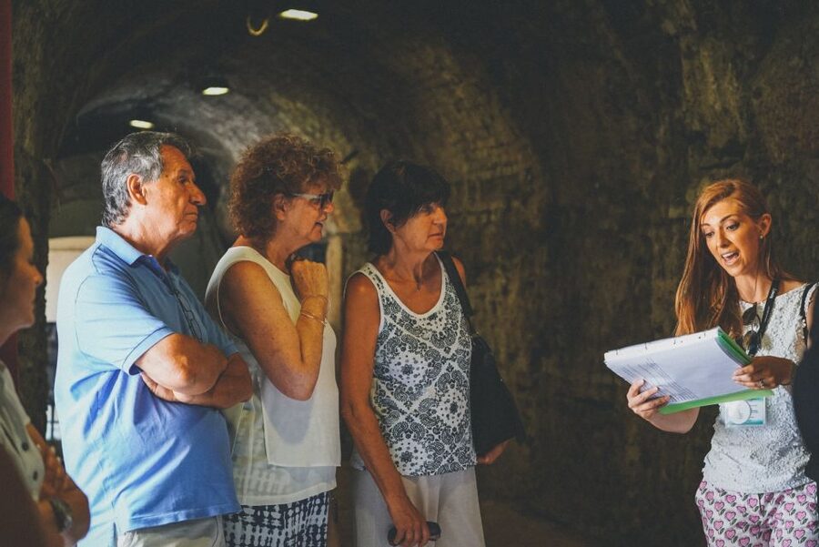 Verona: Priority Access Arena Guided Tour - The Pink Marble Façade Isn’t the Whole Story