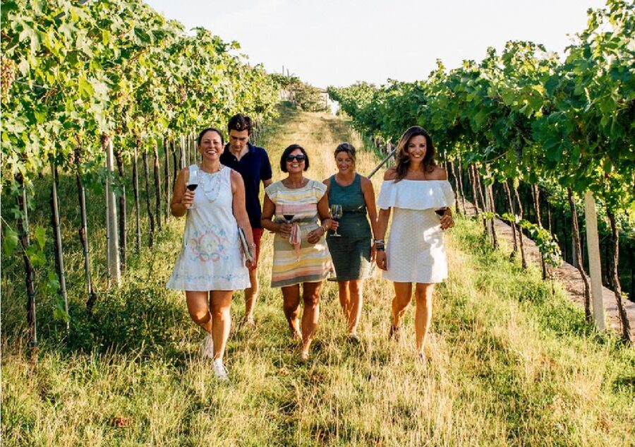 Verona: Vineyard and Winery Tour with Wine Tasting - Tasting with a winemaker: how you learn to read sight, smell, and taste