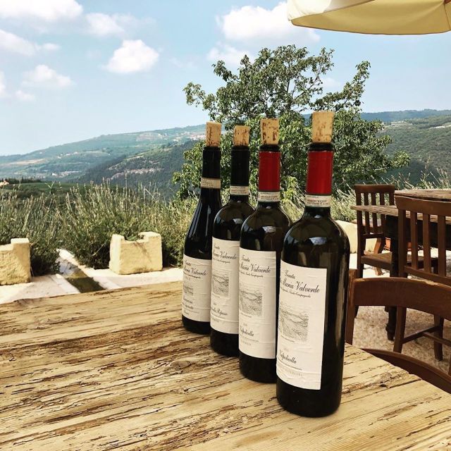 Verona: Vineyard and Winery Tour with Wine Tasting - Who this tour is best for (and who should pick a different one)