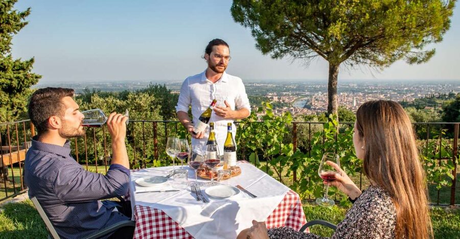 Verona: Wine Tasting with Snacks and Panoramic Views - The vineyard and winery tour (about 30 minutes): where the story starts