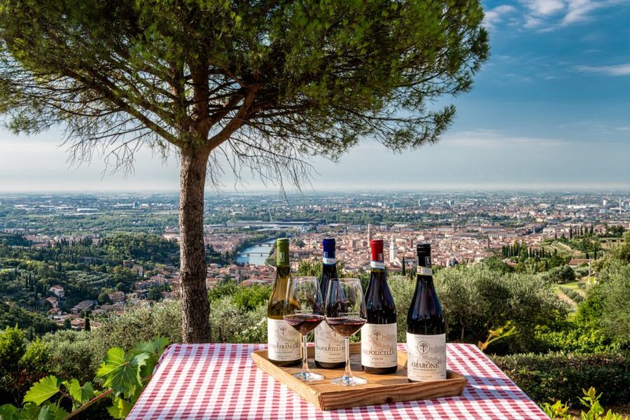 Verona: Wine Tasting with Snacks and Panoramic Views - Views, atmosphere, and the pace: why this doesn’t feel rushed