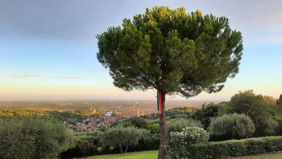 Verona: Wine Tasting with Snacks and Panoramic Views - Who this tour is best for (and who should rethink it)