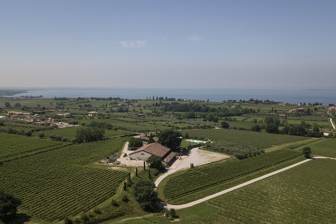Visit and wine tasting at Tenuta La Cà - The Tenuta La Cà experience in key facts