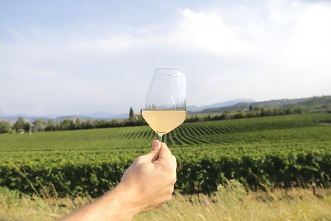 Visit and wine tasting at Tenuta La Cà - The wine talk that actually matters: fermentations, temperatures, woods