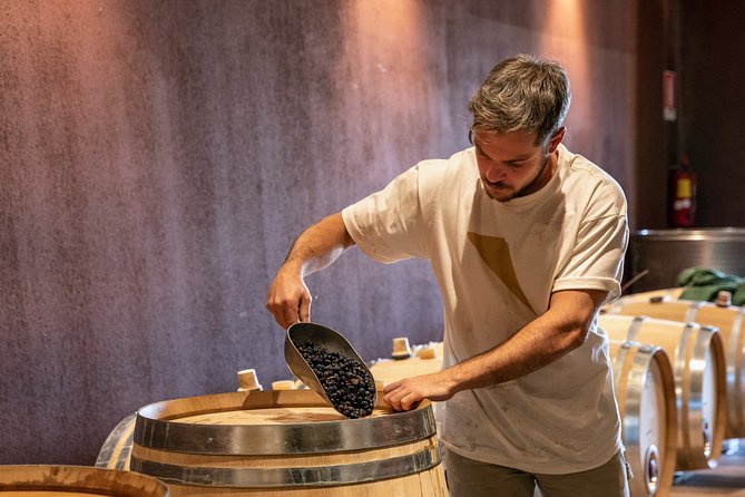 Visit and wine tasting at Tenuta La Cà - Getting there from Bardolino: don’t count on a walk