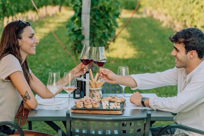 Wine and Food Tasting in the Vineyards in Lazise - Key highlights you should care about