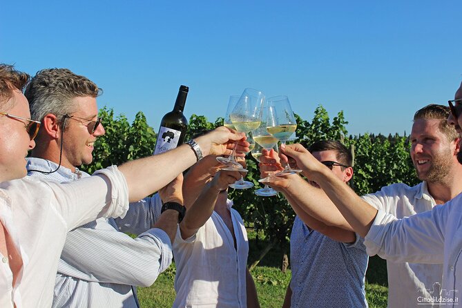Wine and Food Tasting in the Vineyards in Lazise - Getting to Azienda Agricola Le Ginestre without turning your day into a logistics project
