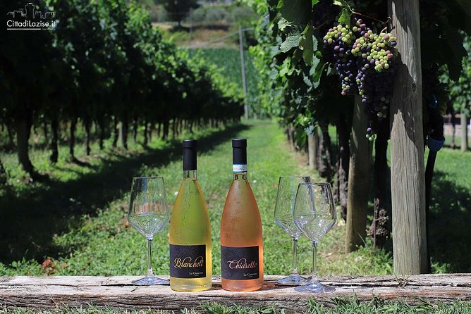 Wine and Food Tasting in the Vineyards in Lazise - Garganega, Chiaretto, and the Lake Garda style in your glass