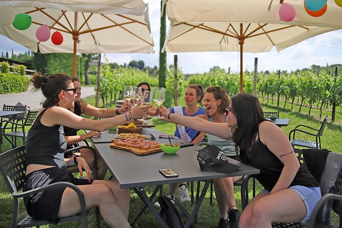 Wine and Food Tasting in the Vineyards in Lazise - Vineyard time: strolling, photo stops, and learning between sips