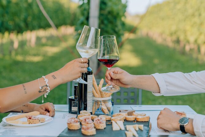Wine and Food Tasting in the Vineyards in Lazise - When the host makes the tasting: stories that help you choose what to drink next