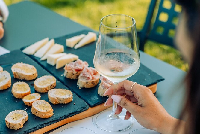 Wine and Food Tasting in the Vineyards in Lazise - What the tasting actually includes: wines, snacks, and Garda olive oil