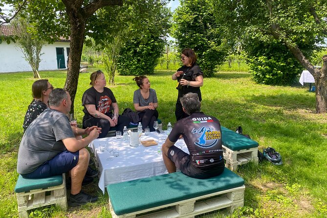 Wine Tasting and Tour of Lugana Wines in Sirmione - The 90 minutes: how the flow actually works